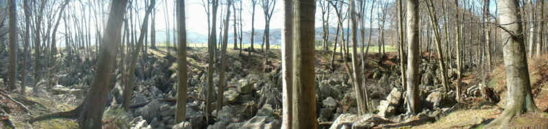 Foto: Ein Blick in das 'Felsenmeer': Felsen und Bäume im Wald...