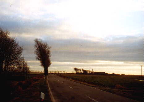 Oben im Bild der wolkenbedeckte Himmel; eine Straße führt geradeaus, links neben der Straße ein schräggewachsener Baum; in Hintergrund weitere Bäume und ein einsamer Bauernhof...