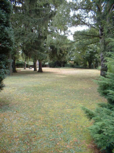 Foto: Eine weite Rasenfläche mit einigen Bäumen. Ganz in der Ferne ist die Stele noch zu erkennen.